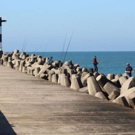 fishing license kzn online|You can now apply for recreational fishing permit online .